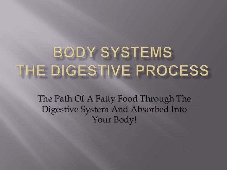 Year 8 body systems interactive task