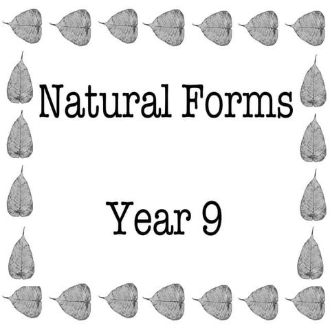 Year 9  Natural Forms boards