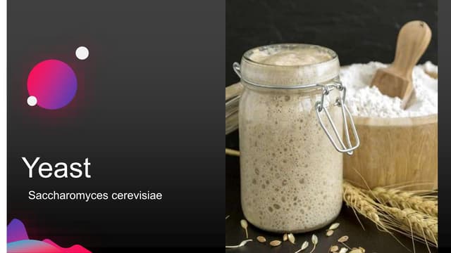 Yeasts and their uses