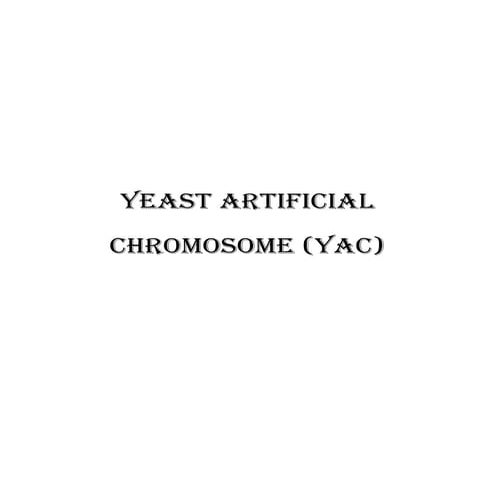 Yeast Artificial Chromosome (YAC)