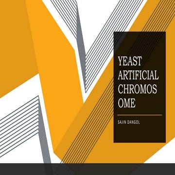 Yeast Artificial Chromosome