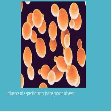 Yeast lab design instructions