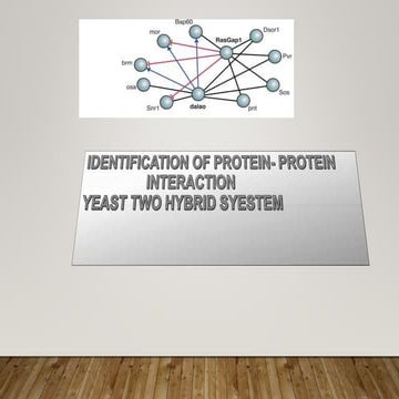 Yeast two hybrid system by Mazhar khan