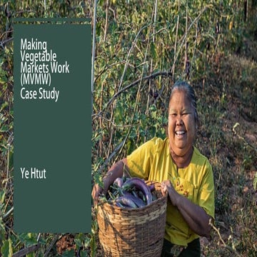 Making Vegetable Markets Work