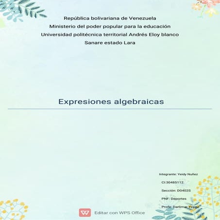 Yeidy NuñeCI 30485112.pdf trabajo expresiones algebraicas