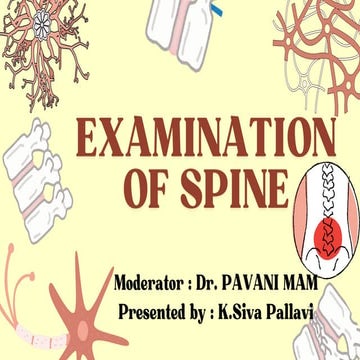 Comprehensive Examination and Assessment of the Human Spine | PDF