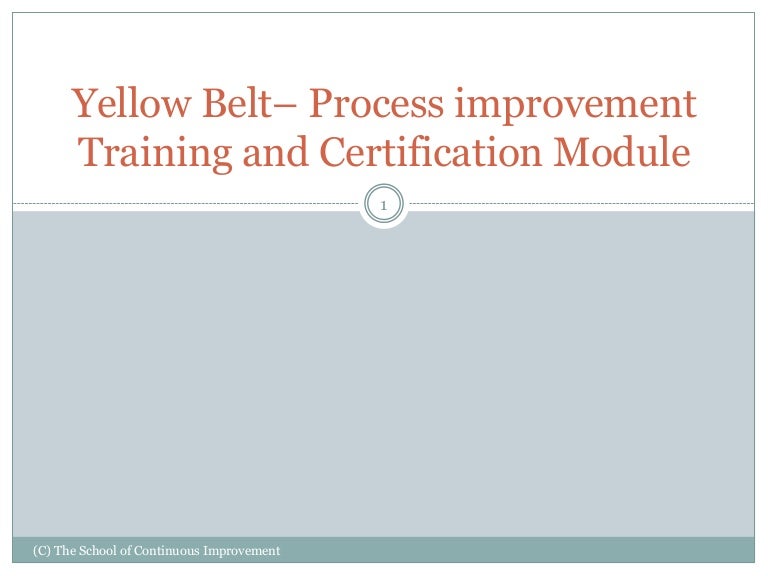 Yellow belt process improvement training and certification module