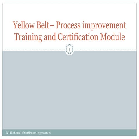 Yellow belt process improvement training and certification module