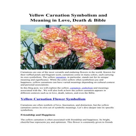 Yellow Carnation Symbolism and Meaning in Love, Death & Bible.docx