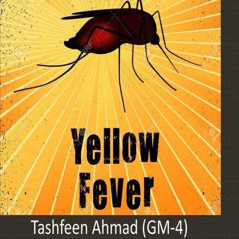 Yellow fever