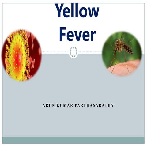 yellow fever.pptx