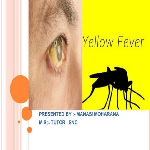 Yellow fever and it's impact on health, mind and body