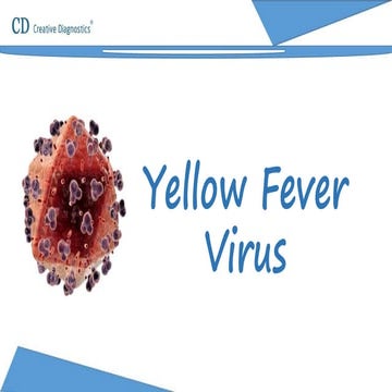 Yellow fever virus