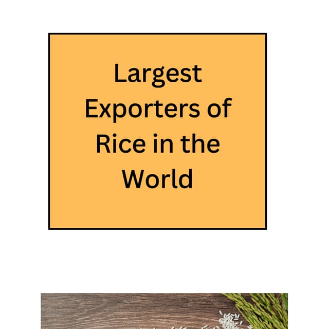 Largest Exporters of Rice in 2024 | PDF