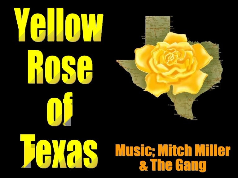 Yellow rose of texas