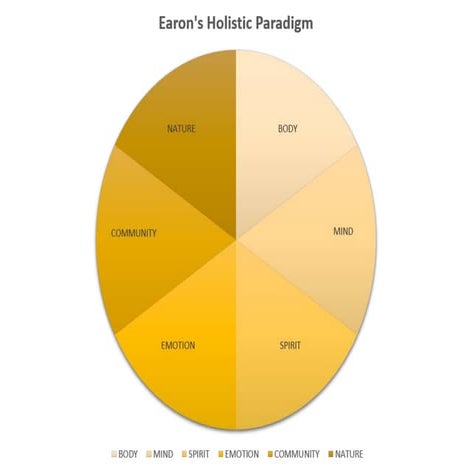 Holistic Health Paradigm