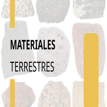 Yellow & white company business presentation.pptx