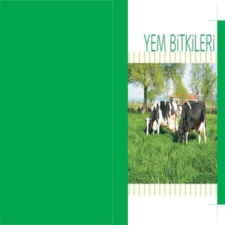 Yem bi̇tki̇leri̇