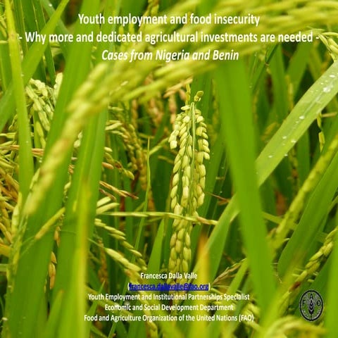 Youth employment and food insecurity: why more and dedicated agricultural inv...