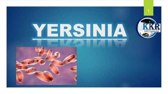 Yersinia enterocolitica | PPTX