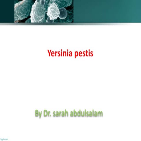 Yersinia pestis- lec6 bacteriology therory.pptx