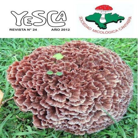 Yesca%2024 | PDF