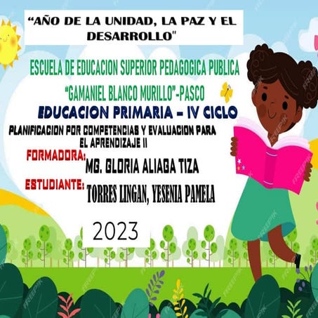 Rd plan anual | PDF