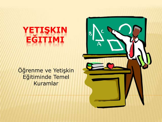 Yetiskin egitimi