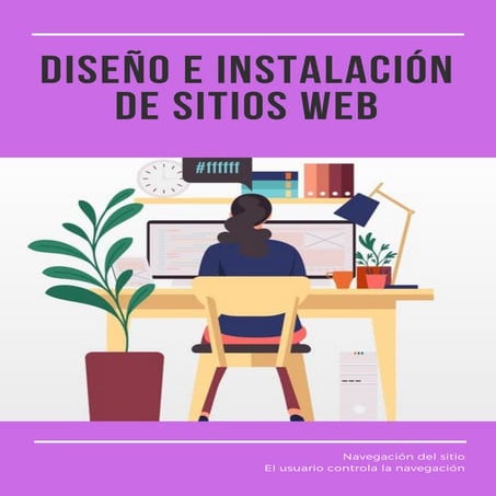 Diseño e instalación de sitios web (navegación del sitio / el usuario control...