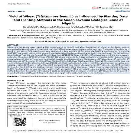 Yield of Wheat (Triticum aestivum L.) as Influenced by Planting Date ...