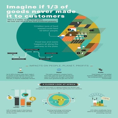 YieldWise: How the World Can Cut Food Waste and Loss by Half
