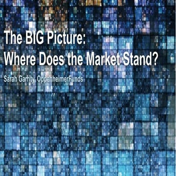 The BIG Picture: Where does the market stand? Sarah Garrity