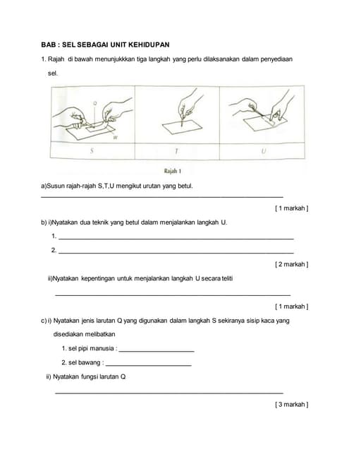 Soalan kuiz pencernaan