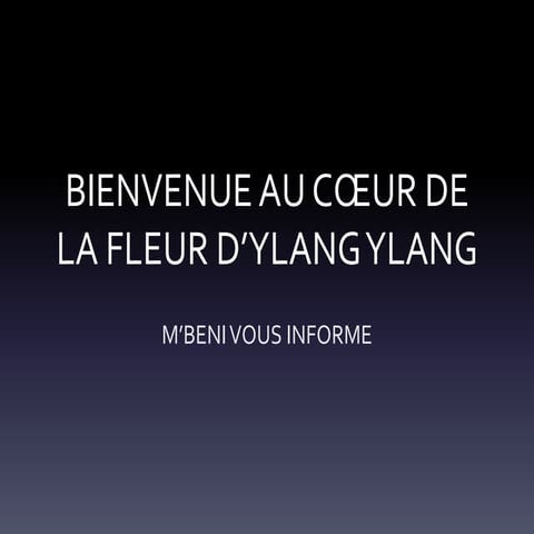 Ylang infographie