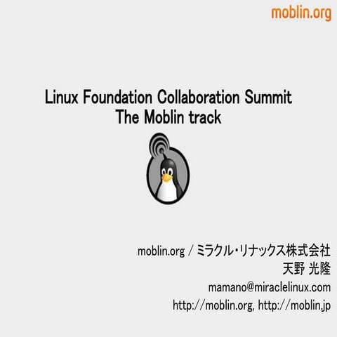 Ylug 20090430 mamano