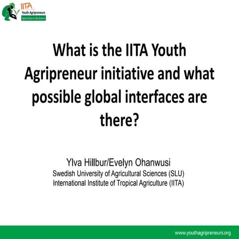 What is the IITA Youth Agripreneur initiative and what possible global interf...