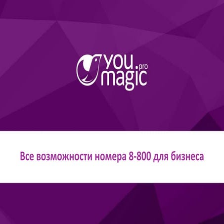 Все возможности номера 8-800 для бизнеса