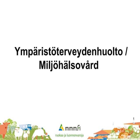 Ympäristöterveydenhuolto (tiivistelmä)
