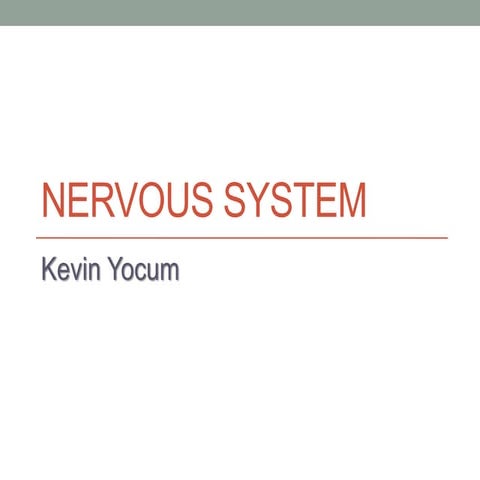 Nervous System