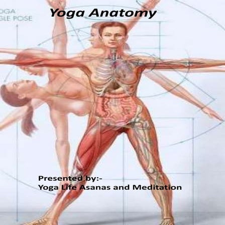 Yoga anatomy  for poses