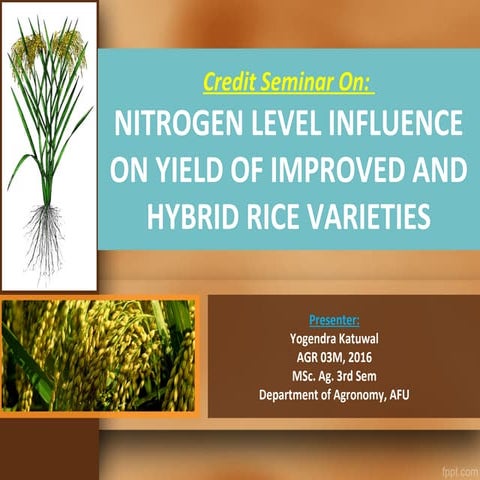 Yogendra Katuwal on Influence of N levels on Yield of Improved and Hybrid Ric...