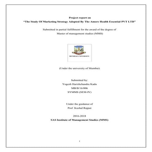 Amore health marketing strategy mba project report