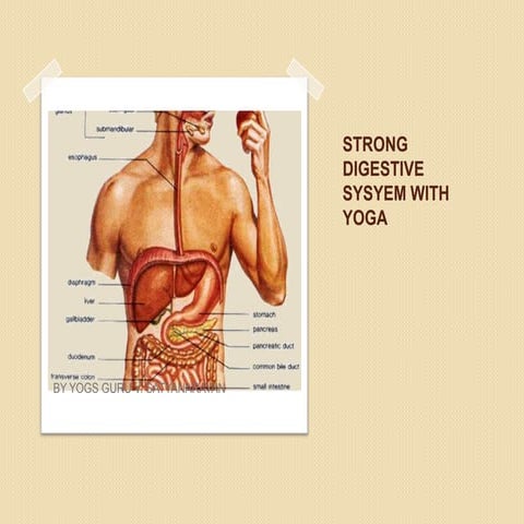 Yogic tips for strong digestive system