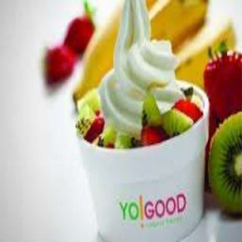 Yo good Frozen yogurt franchise plan