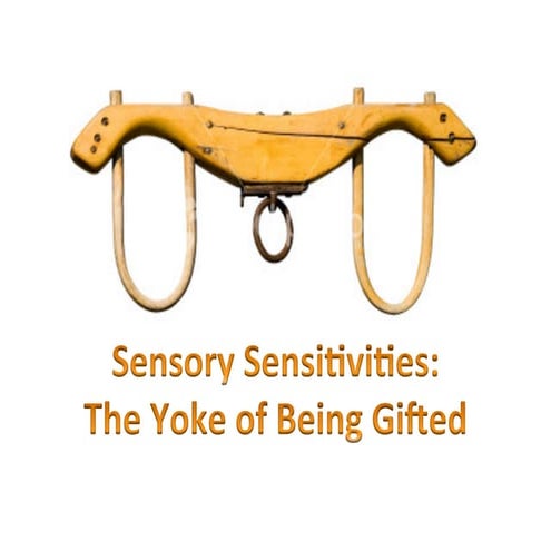 Sensory Sensitivities: The Yoke of Being Gifted