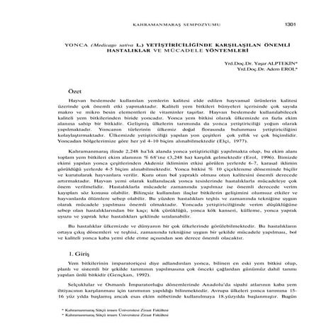 Yonca hastalıkları