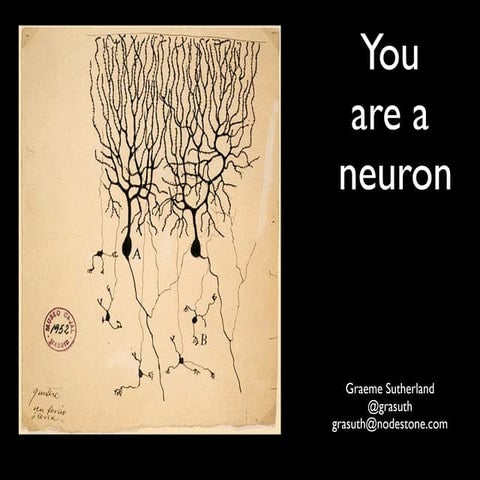 You Are A Neuron
