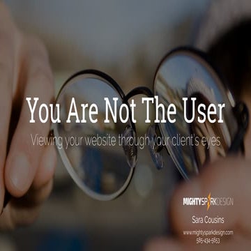 You Are Not The User: Viewing Your Website Through Your Client's Eyes