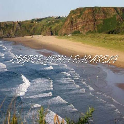 Catálogo 1-Cooperativa YouChoose