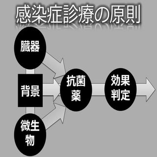 妖怪メダルできった抗菌薬の使い方
